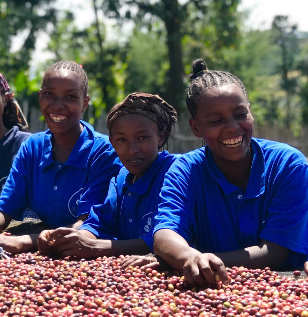 women's coffee project mirabilia