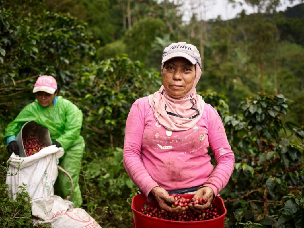 coltivatrici colombiane