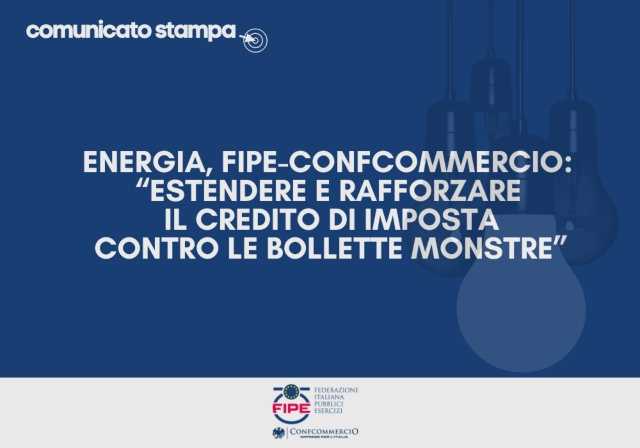 fipe credito