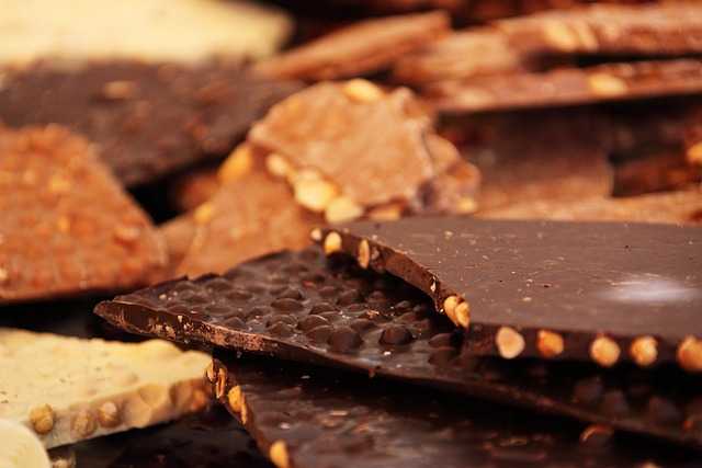 cioccolato parmigiano reggiano finlandia slovenia stampante 3d studio ritter comaschi cioccolatini colesterolo chocolate said