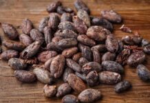 fave cacao ghana africa