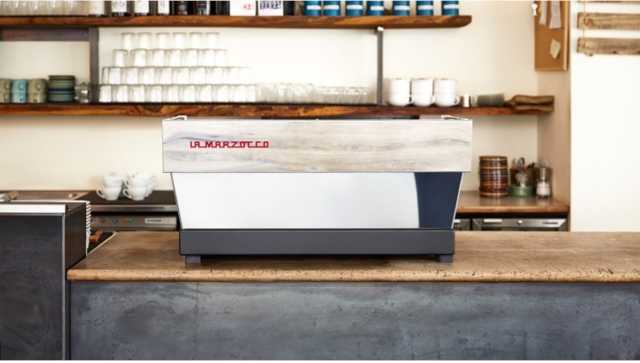 la marzocco mice