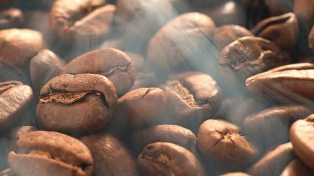 Consorzio promozione caffè, il chicco tostato (foto concessa)