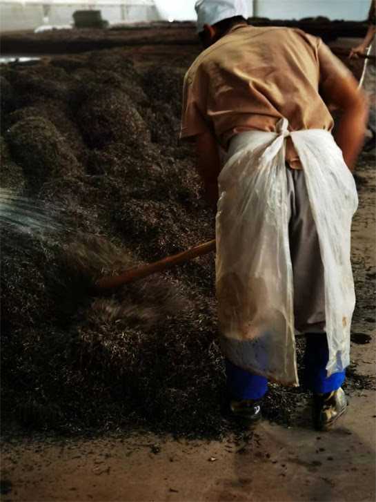 Il maestro del tè (foto concessa)