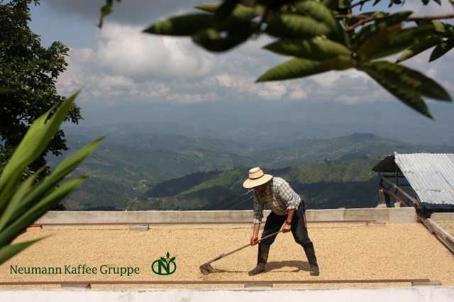 Un operatore di NKG Becamo in Honduras asciuga il caffè sul patio nkg