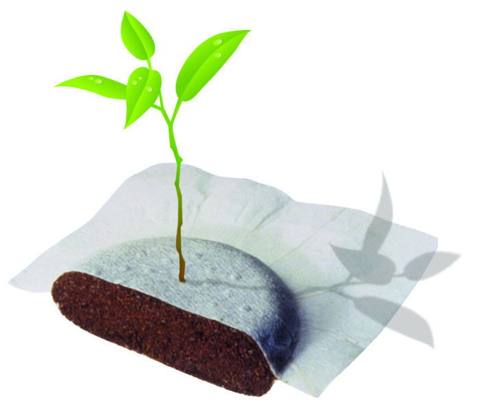 Il caffè in cialda E.S.E. è perfettamente compostabile