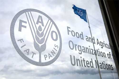 Fao Logo