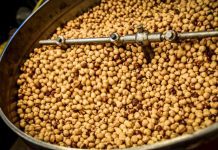 Nocciola: rincari in media del 30% e picchi fino al 100% nocciola