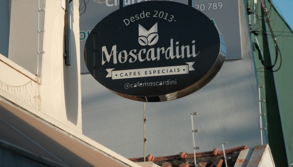 Moscardini