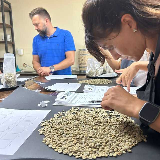 corso q arabica grader bloom