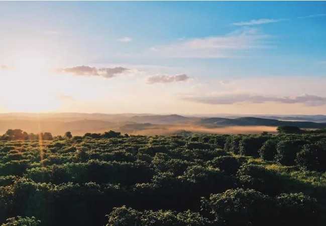 Brasile Fazenda Da Lagoa