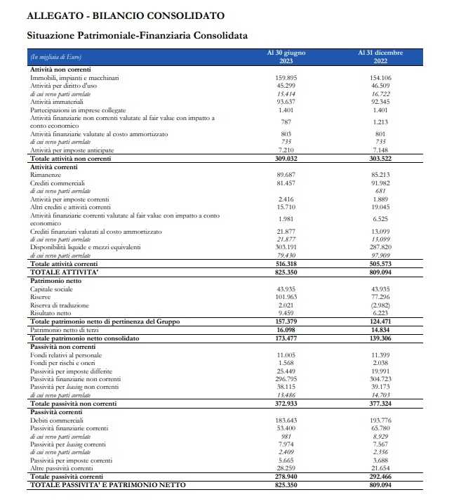 bilancio consolidato newlat