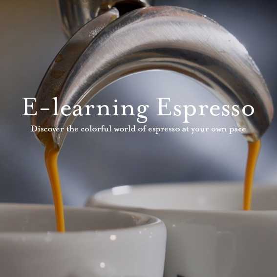 accademia del caffè espresso online