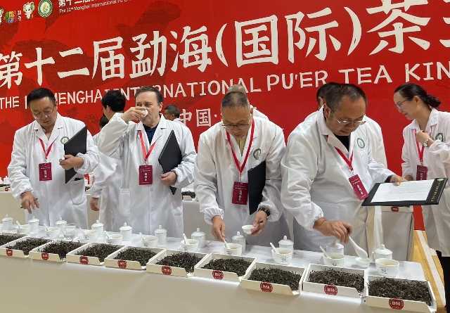 panel assaggiatori tè pu'er competizione menghai