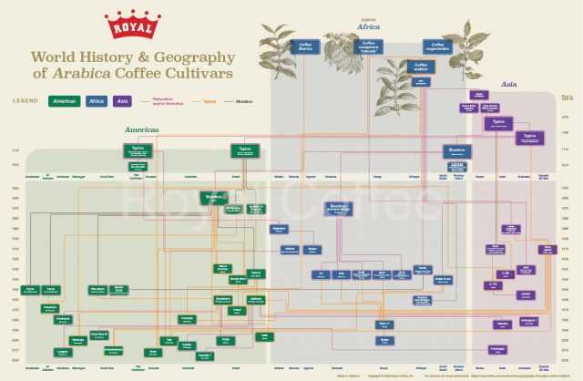 World History and Geography of Arabica Cultivars