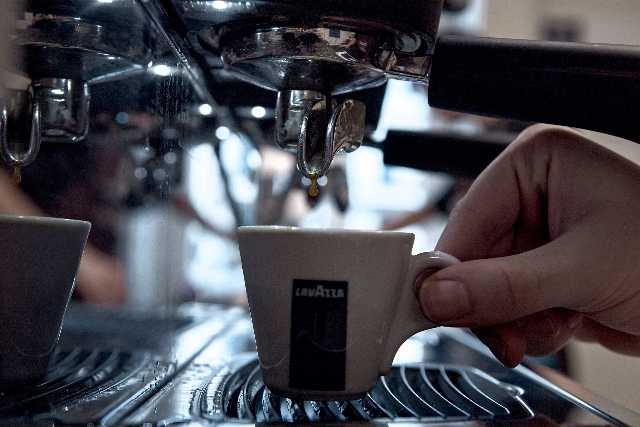 lavazza cesvi