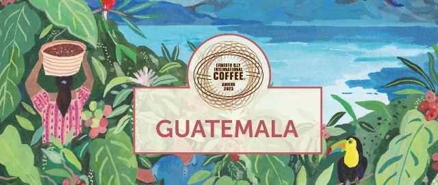 guatemala illy