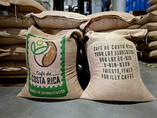 lotto di caffè costa rica