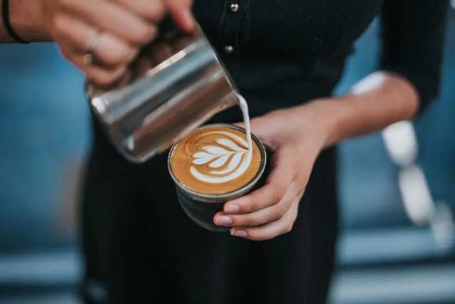 rancilio lags