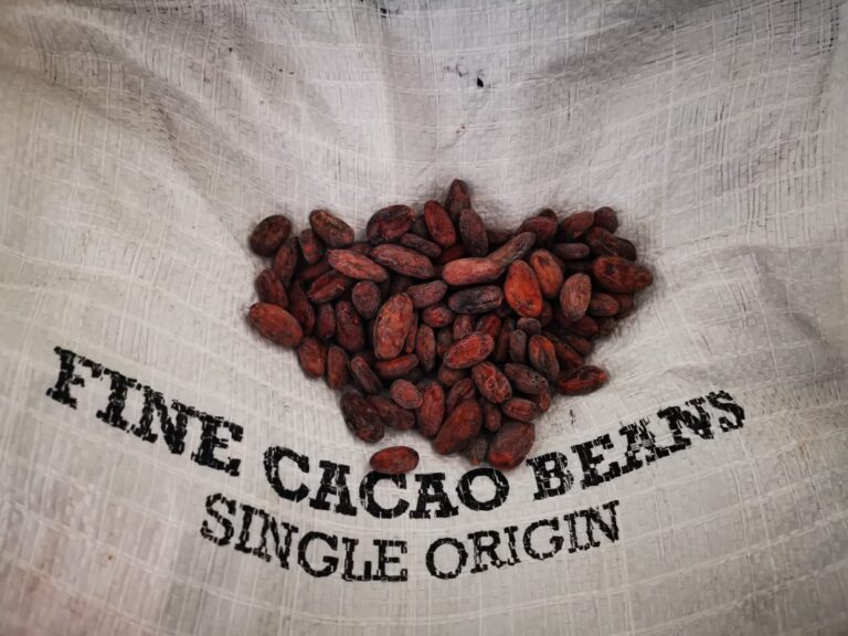 Cioccolato e caffè, un abbinamento che funziona sempre, ma come? Risponde il team Perfero