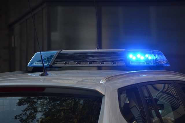 mafia polizia palermo slovenia mcdonald's mangione