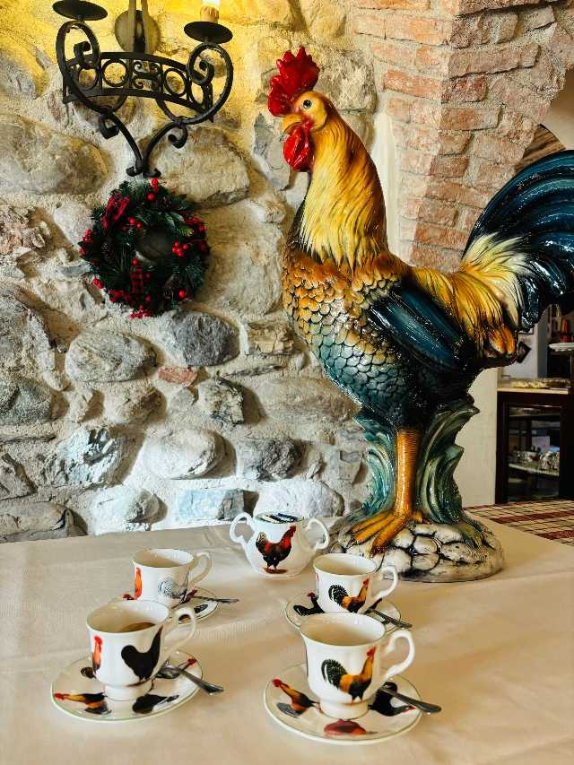 gallo galli goi