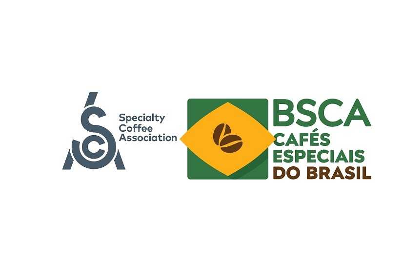 Sca Bsca