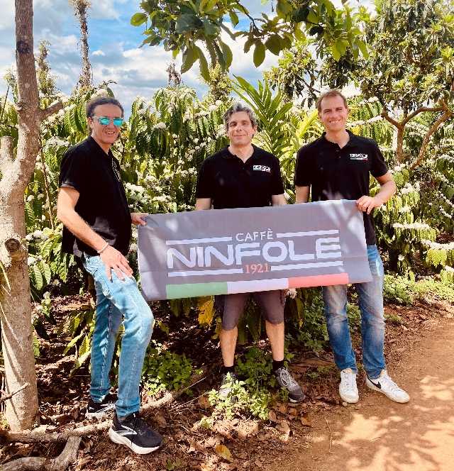ninfole