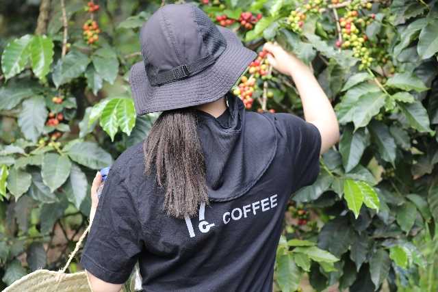 17g coffee