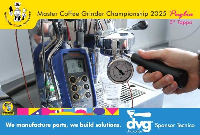 dvg