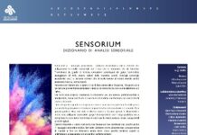 sensorium