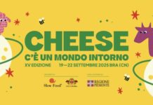 costadoro cheese