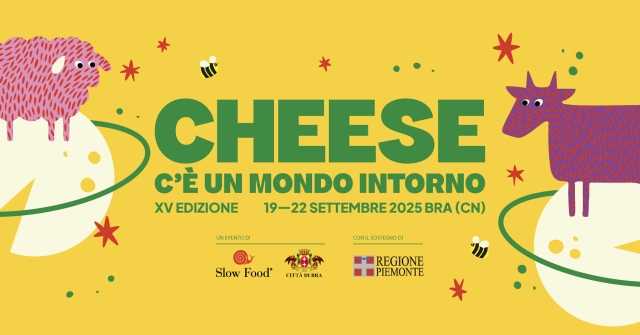 costadoro cheese