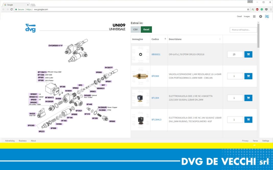 dvg de vecchi