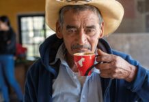 Julius Meinl amplia il Generations Programme: sostenibilità e innovazione lungo tutta la filiera