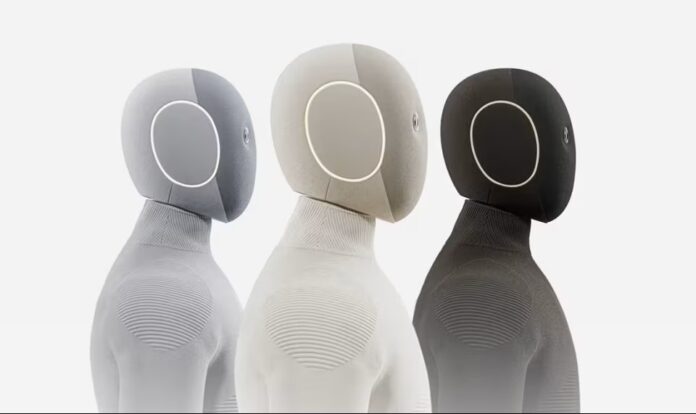 Neo Home Robot (immagine: Domus)