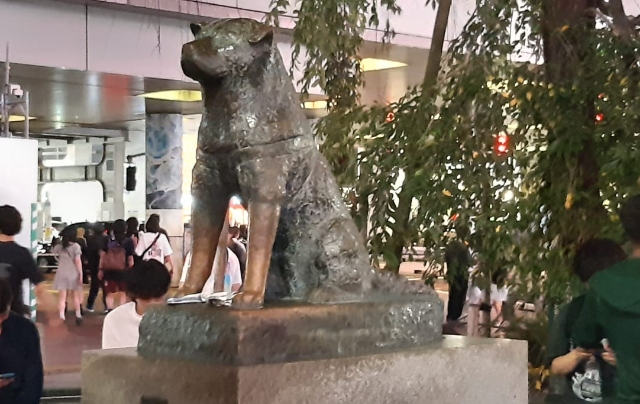 hachiko