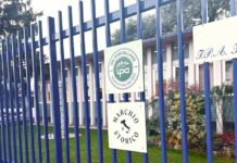 IPA Porcellane nei Marchi Storici (foto concessa)