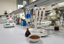 Dai fondi alla salute: nuova vita per gli scarti del caffè grazie alla ricerca UniRC–Caffè Mauro